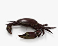 Velvet Crab 3d model