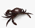 Velvet Crab 3d model