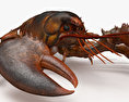 海螯蝦科 3D模型