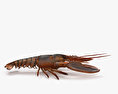 Lobster HD 3d model