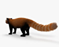 Panda minore Modello 3D