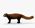 喜馬拉雅小貓熊 3D模型