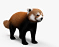 Panda minore Modello 3D