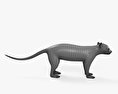 喜馬拉雅小貓熊 3D模型