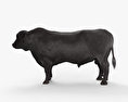 Абердін-Ангуський бик 3D модель