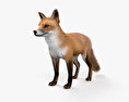 Renard roux Modèle 3d