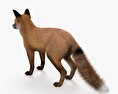 赤狐 3D模型