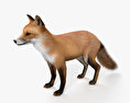 Renard roux Modèle 3d