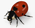 Ladybird HD 3d model