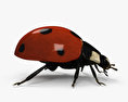 Ladybird HD 3d model