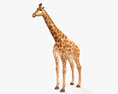 Giraffe HD 3d model