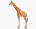 Giraffen 3D-Modell