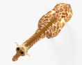 Giraffa Modelo 3D