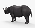 Rhinocéros noir Modèle 3d