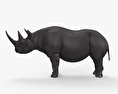 Rhinocéros noir Modèle 3d