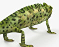 Veiled Chameleon HD 3d model