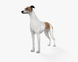 Greyhound HD 3D model