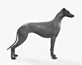 Greyhound HD 3d model