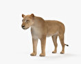 Lioness HD 3d model