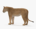 Löwin 3D-Modell