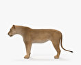 Lioness 3d model
