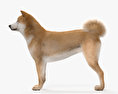 Akita Inu Modelo 3d