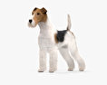 Wire Fox Terrier HD 3d model