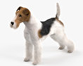 Wire Fox Terrier HD 3d model
