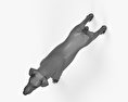 Fox terrier de pelo duro Modelo 3d