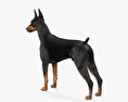 杜賓犬 3D模型