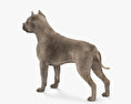 American Pit Bull Terrier 3d model