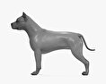 American pit bull terrier Modello 3D
