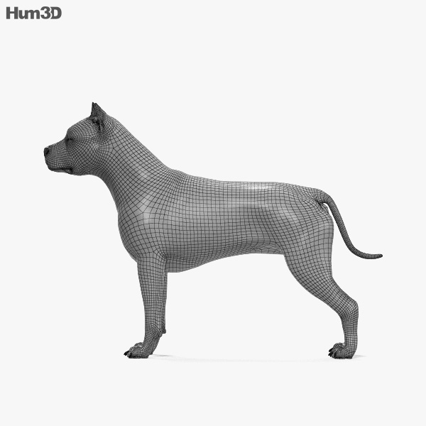 american pit bull terrier hd 3d model