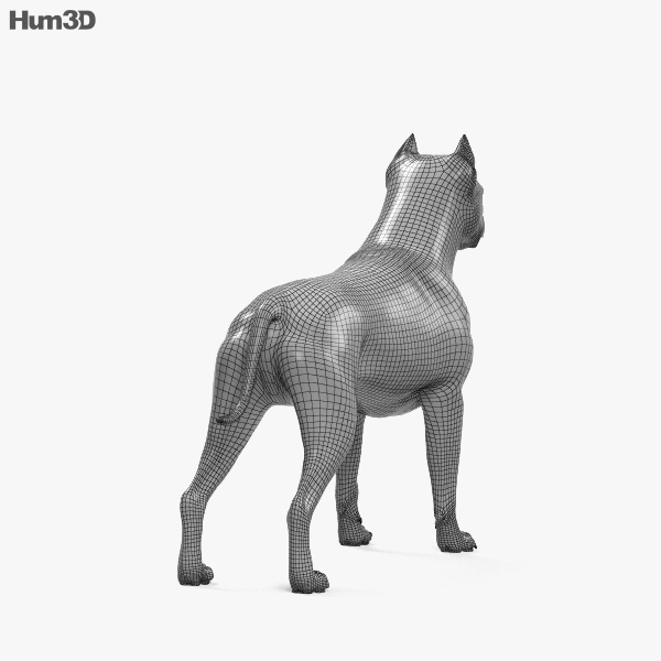 american pit bull terrier hd 3d model
