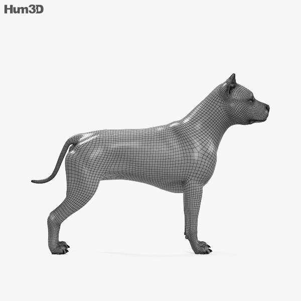 american pit bull terrier hd 3d model