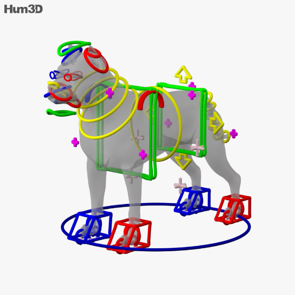 american pit bull terrier hd 3d model