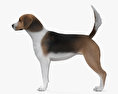 Foxhound inglés Modelo 3D
