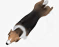 英国猎狐犬 3D模型