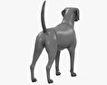 English Foxhound Modello 3D
