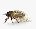 Cigarra Modelo 3D