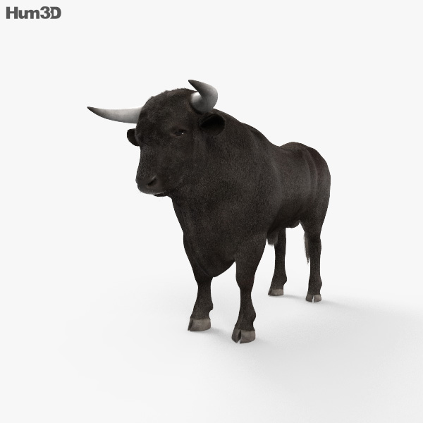 Bull HD 3D model