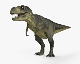 Tyrannosaure Modèle 3D