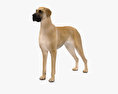 Deutsche Dogge 3D-Modell
