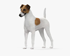 Fox terrier Modelo 3d