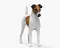 Fox Terrier HD 3d model
