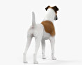 Fox terrier Modello 3D