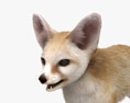 Fennec Fox 3d model