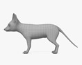 Fennec Fox 3d model