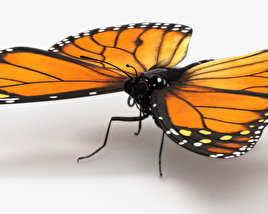 Mariposa monarca Modelo 3D