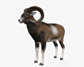 Mouflon 3d model